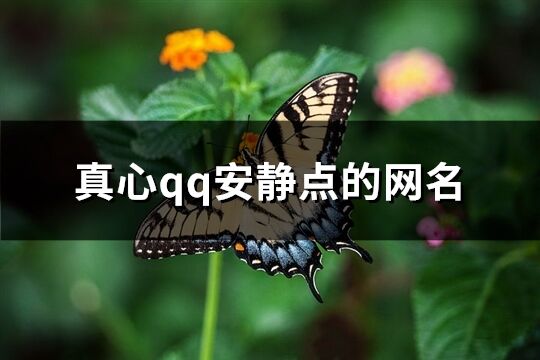 真心qq安静点的网名(优选820个)