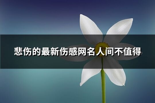 悲伤的最新伤感网名人间不值得(优选609个)