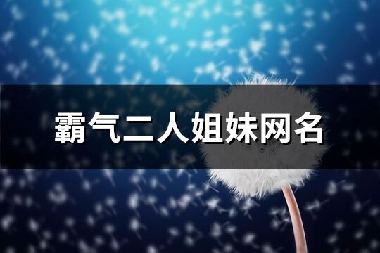 霸气二人姐妹网名(优选63个)