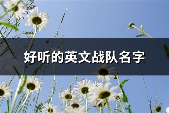 好听的英文战队名字(精选110个)