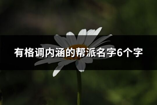 有格调内涵的帮派名字6个字(89个)