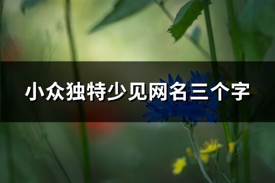 小众独特少见网名三个字(精选76个)