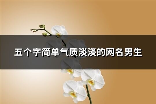 五个字简单气质淡淡的网名男生(精选108个)