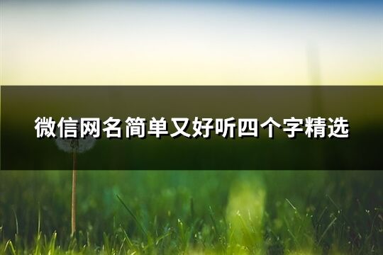 微信网名简单又好听四个字精选(284个)