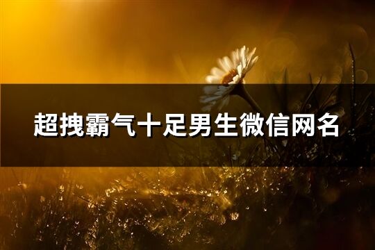 超拽霸气十足男生微信网名(共79个)