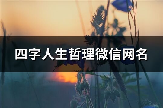 四字人生哲理微信网名(290个)