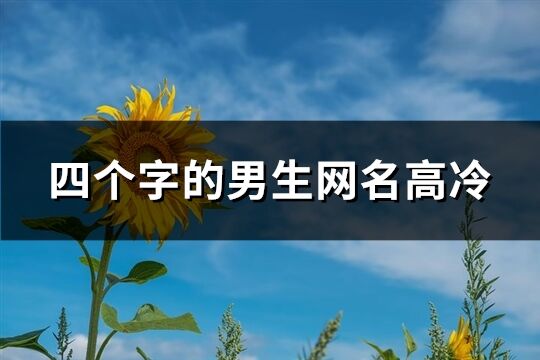 四个字的男生网名高冷(共239个)