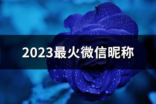 2023最火微信昵称(共206个)