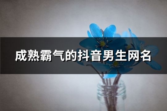 成熟霸气的抖音男生网名(共121个)