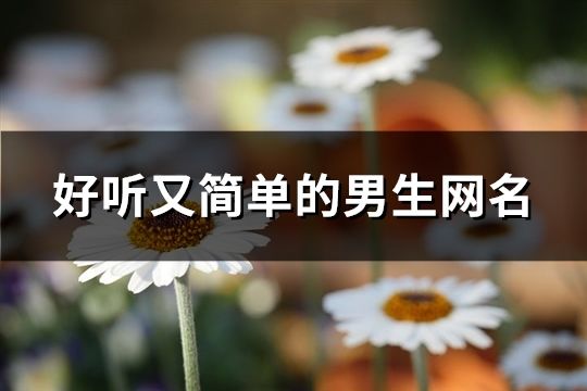 好听又简单的男生网名(172个)