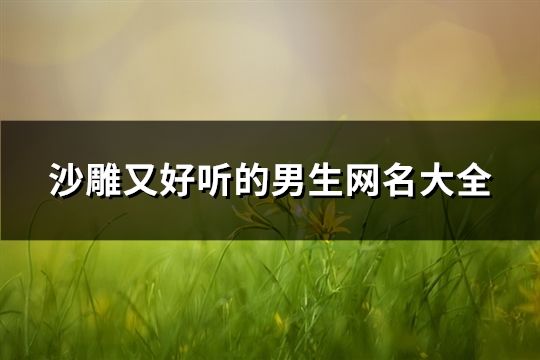 沙雕又好听的男生网名大全(精选110个)