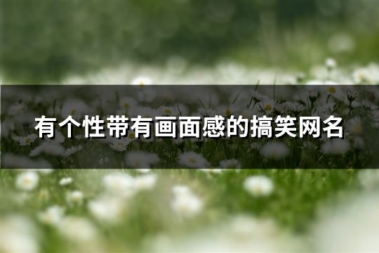 有个性带有画面感的搞笑网名(共119个)