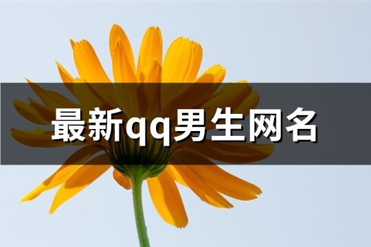 最新qq男生网名(优选584个)