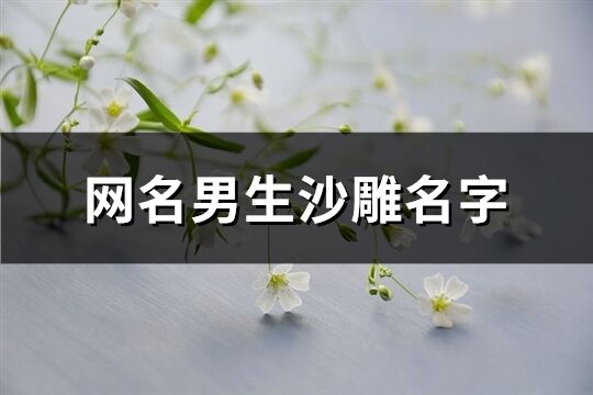 网名男生沙雕名字(优选540个)