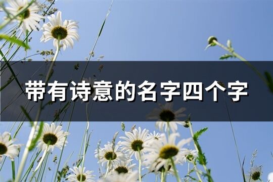 带有诗意的名字四个字(优选204个)