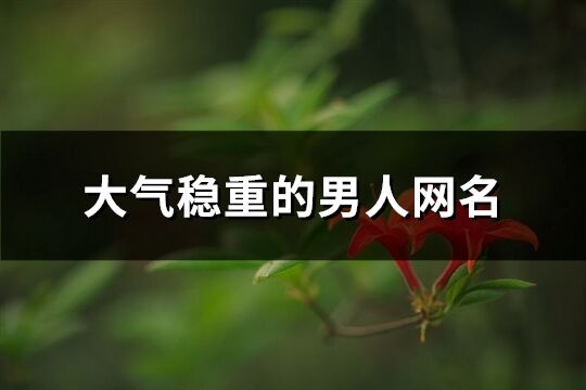 大气稳重的男人网名(共603个)