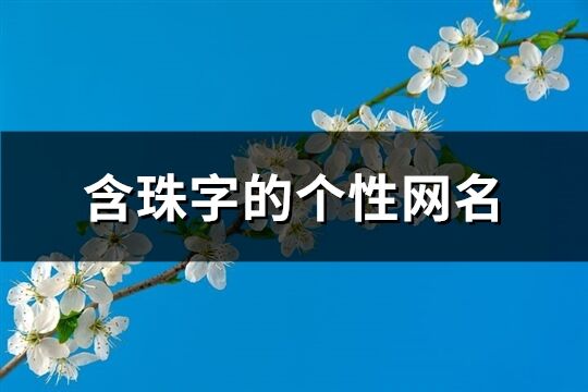 含珠字的个性网名(67个)