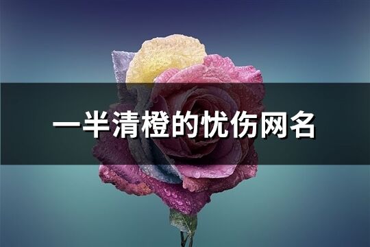 一半清橙的忧伤网名(优选471个)