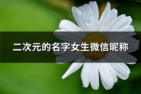 二次元网名图片