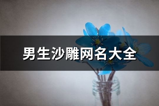 男生沙雕网名大全(186个)