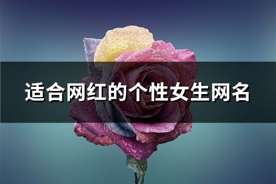 适合网红的个性女生网名(精选63个)