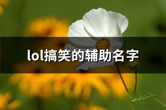 lol搞笑的辅助名字(共129个)