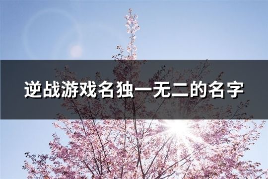 逆战游戏名独一无二的名字(159个)