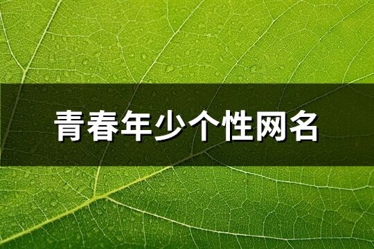 青春年少个性网名(139个)