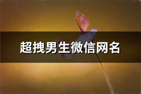 超拽男生微信网名(91个)