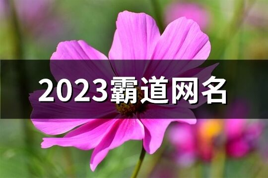 2023霸道网名(精选180个)