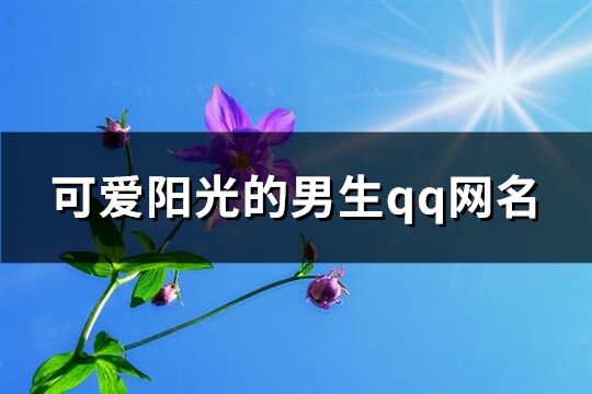 可爱阳光的男生qq网名(共117个)