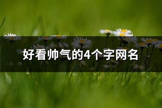 好看帅气的4个字网名(109个)