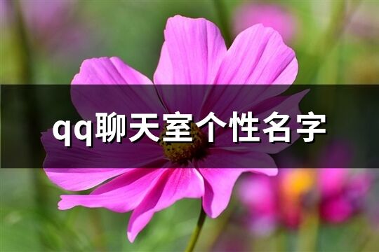 qq聊天室个性名字(77个)