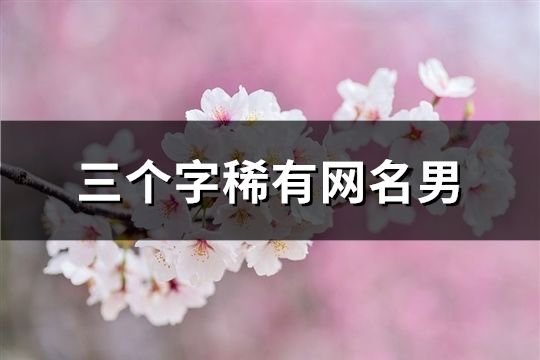 三个字稀有网名男(共186个)