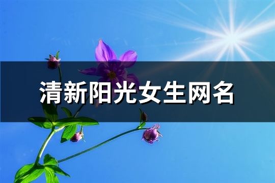 清新阳光女生网名(精选157个)