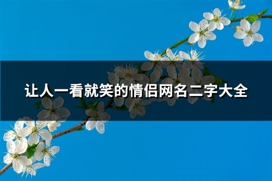 让人一看就笑的情侣网名二字大全(111个)