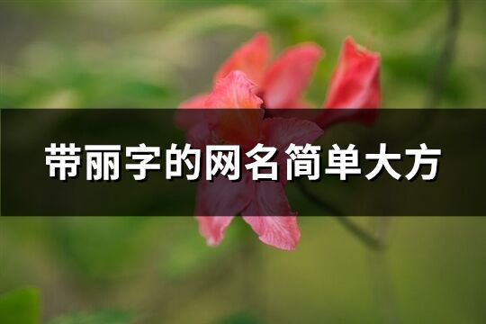 带丽字的网名简单大方(共84个)