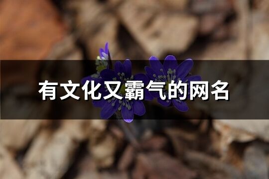 有文化又霸气的网名(185个)