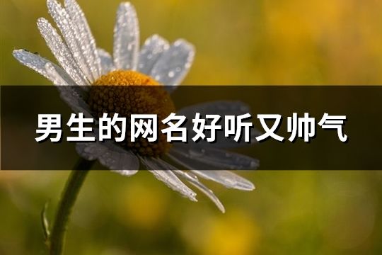 男生的网名好听又帅气(136个)