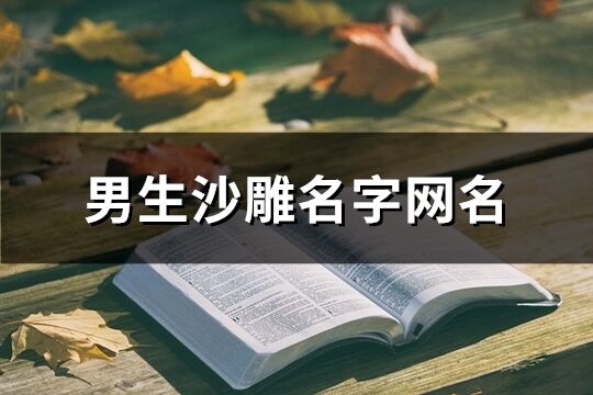 男生沙雕名字网名(精选193个)