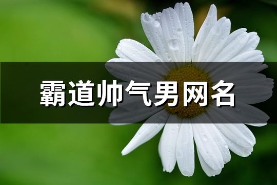 霸道帅气男网名(71个)