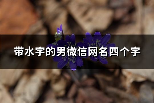 带水字的男微信网名四个字(131个)