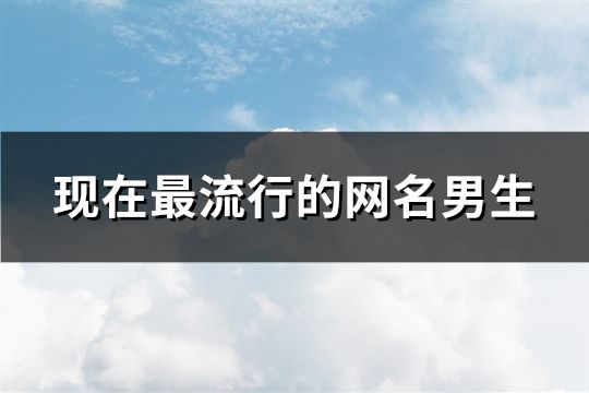 现在最流行的网名男生(共243个)