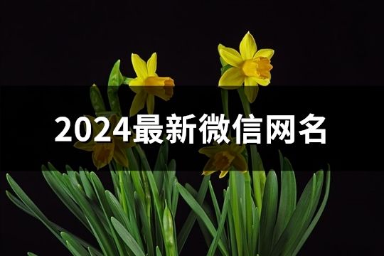 2024最新微信网名(共255个)