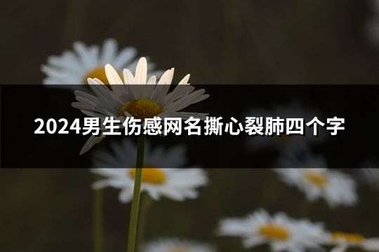 2024男生伤感网名撕心裂肺四个字(共206个)