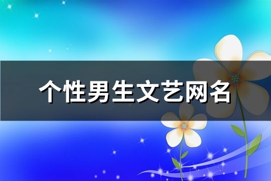 个性男生文艺网名(共187个)