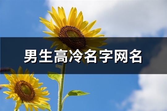 男生高冷名字网名(精选176个)