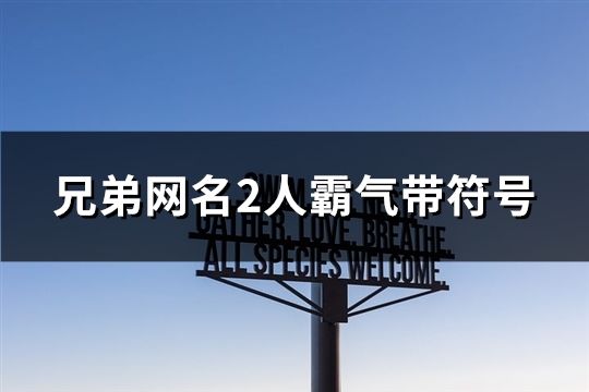 兄弟网名2人霸气带符号(146个)