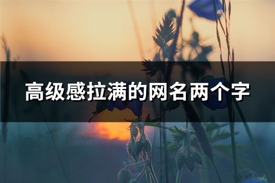 高级感拉满的网名两个字(196个)