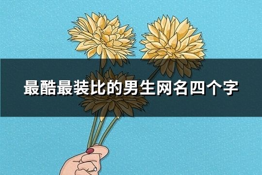 最酷最装比的男生网名四个字(共289个)